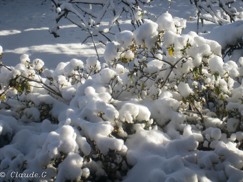 hiver_2014_6.jpg
